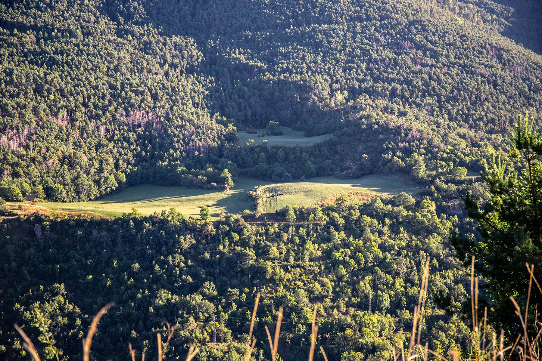 Notonsaturday-Diputacio-Lleida-landscape2