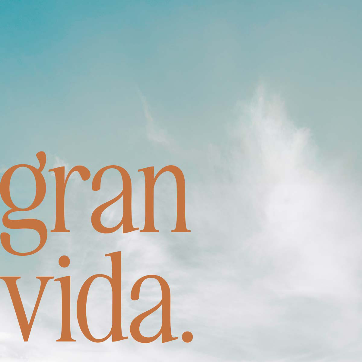 Notonsaturday-DiputacioLleida-grid_05a