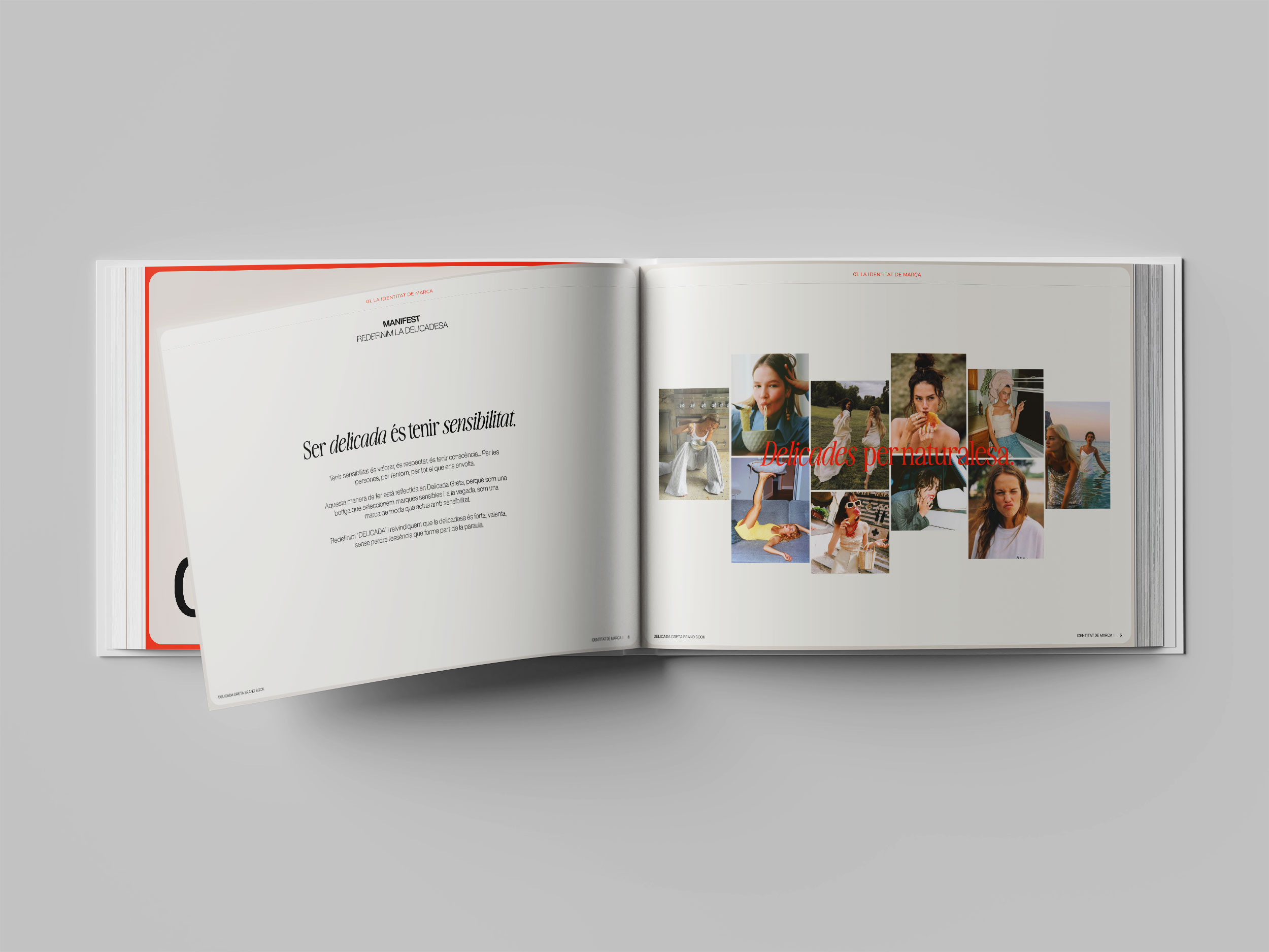 Notonsaturday-delicada-brand-brand-book2