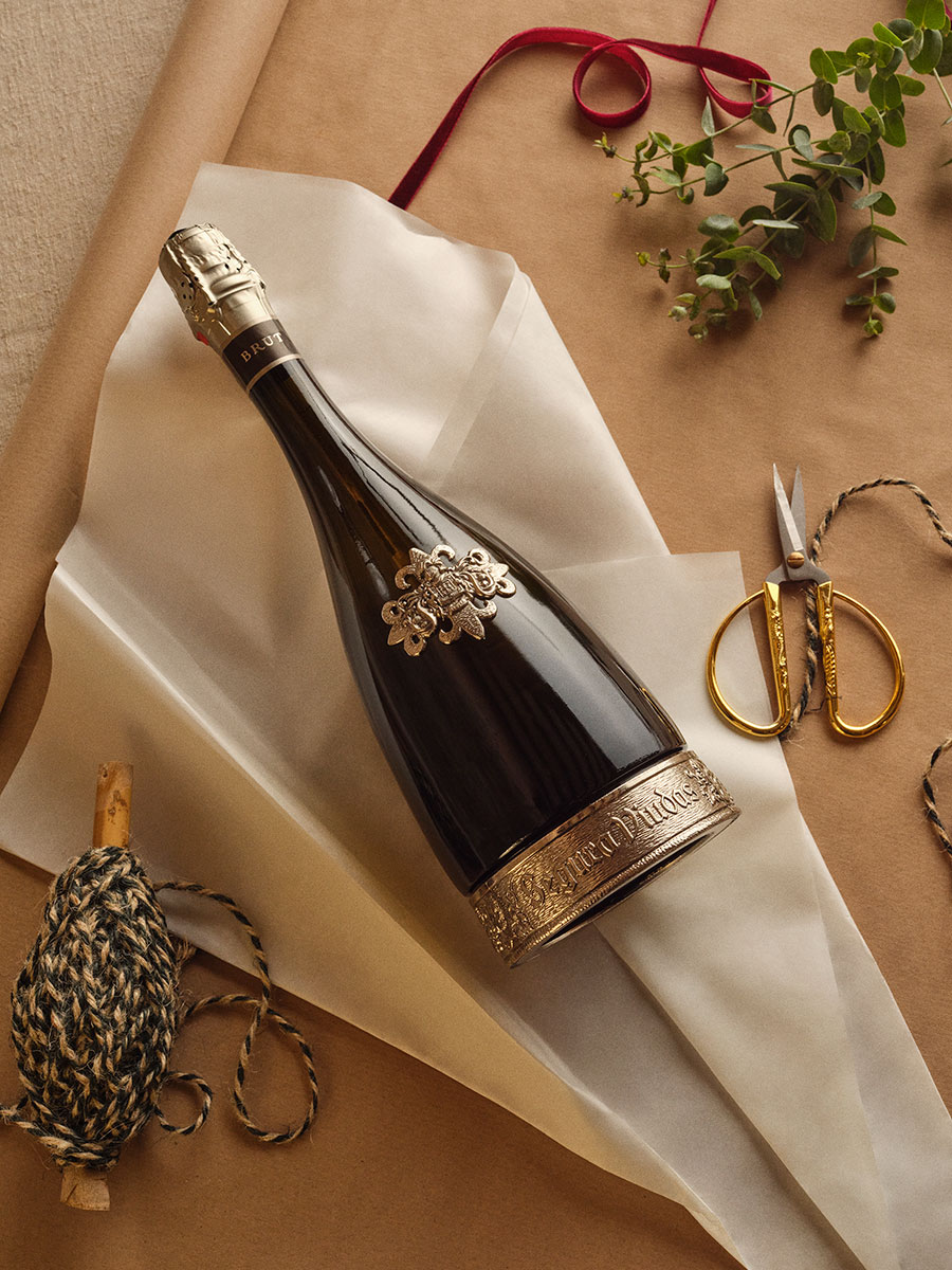 andrea-guimet-segura-viudas-vicky-sevilla-social-images15