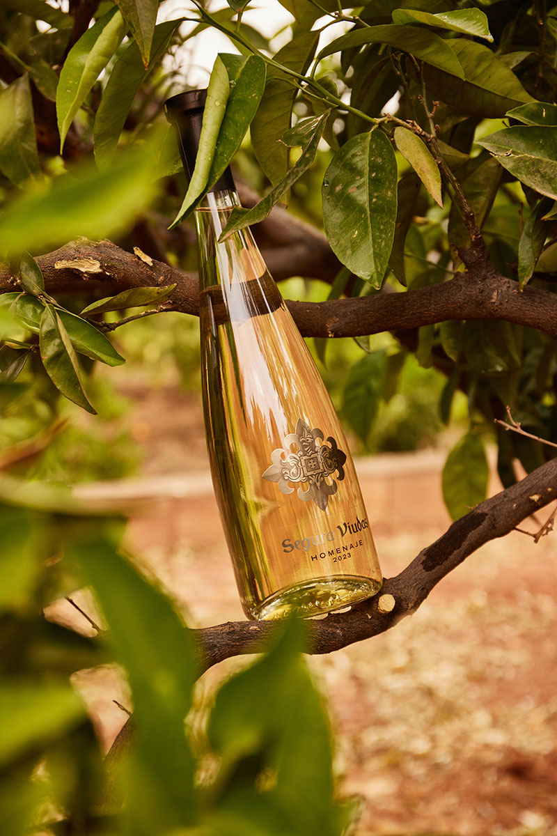 andrea-guimet-segura-viudas-vicky-sevilla-social-images3