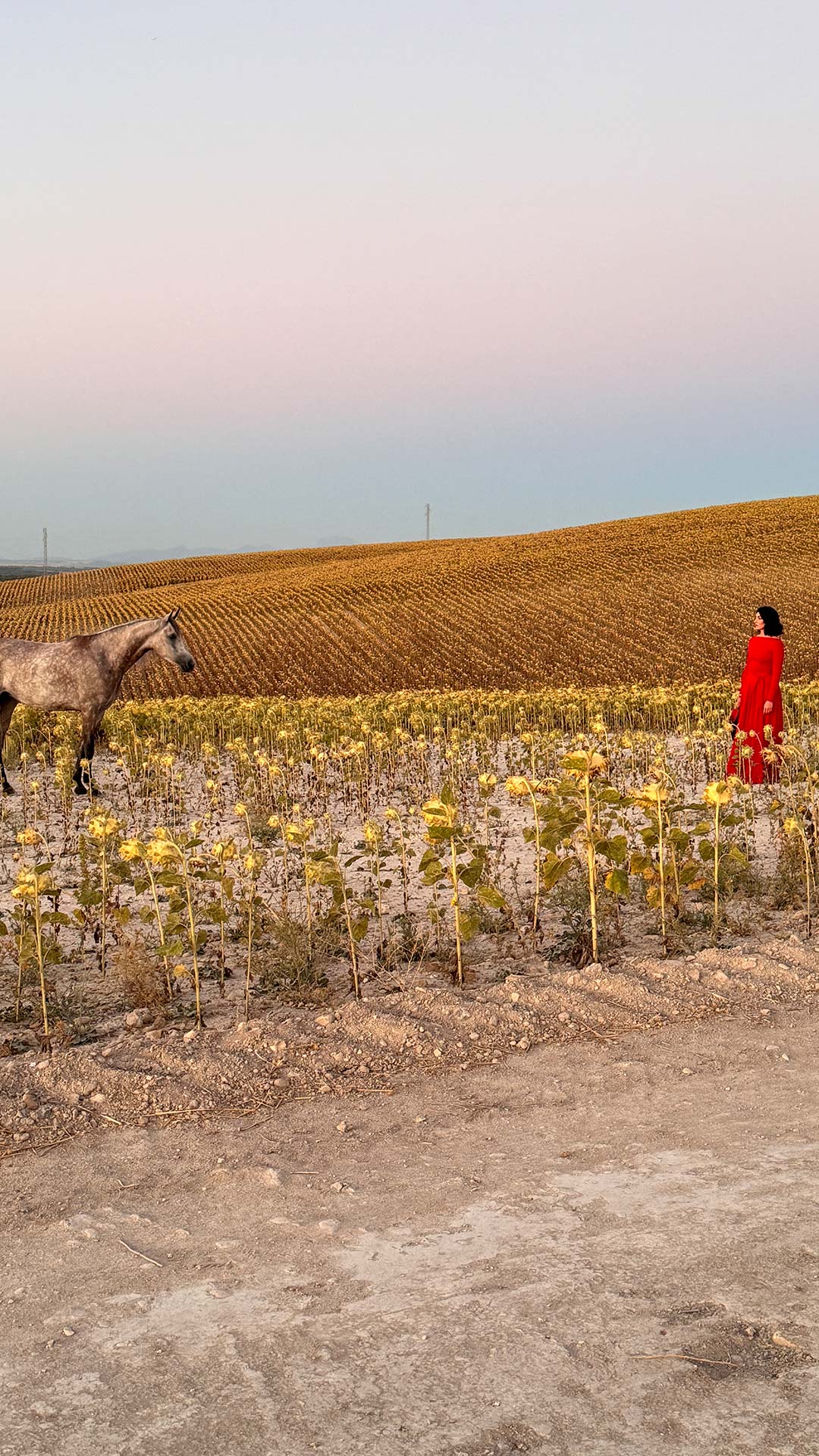 andrea-guimet-the-macallan